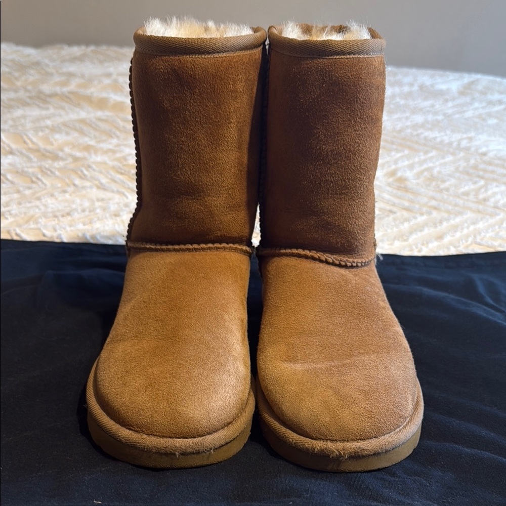 Ugg Brown Boots